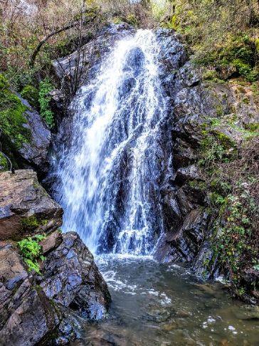 Day hiker: Robie Point Firebreak Trail - you owe it to yourself 