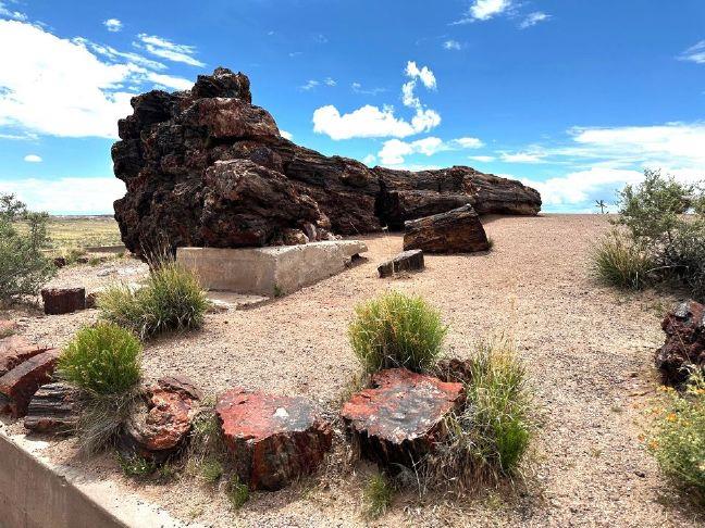 Road trippin' on Route 66 in Arizona | Gold Country Media