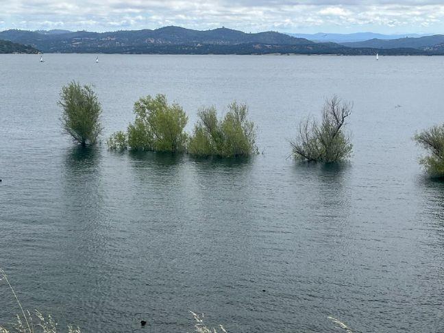 Safety campaign underway as visitors flock to full Folsom Lake – Gold Country Media