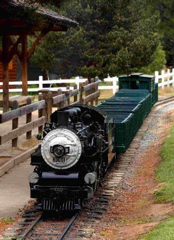 Beloved Folsom mini train will keep chugging along with new owners – Gold Country Media