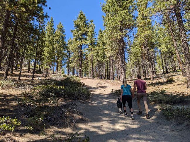 Day Hiker: Watch for the gorilla at Monkey Rock Tahoe | Gold Country Media