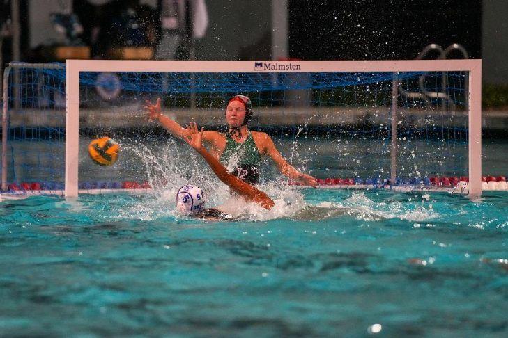 Grizzlies water polo wins first girls title over Davis | Gold Country Media
