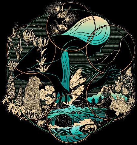 Protect American River Canyons to hold Winter River Social – Gold Country Media