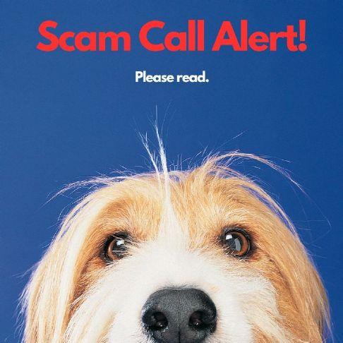 The Placer SPCA issuing a warning about scam calls impersonating shelter staff.