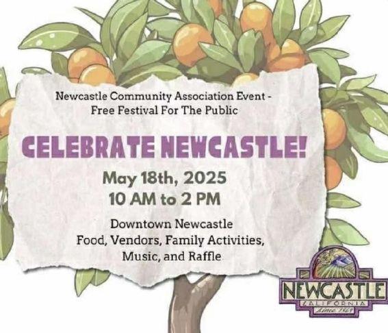 Celebrate Newcastle Day: Heritage, community, spirit | Gold Country Media