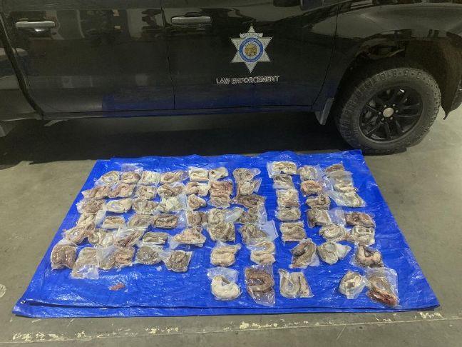 Placer County man sentenced to 2 years for wildlife commercialization | Gold Country Media