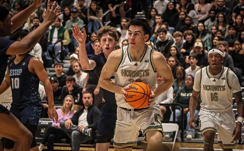 Homegrown Hornet: Rocklin’s Lavrenov learning from NBA veterans at Sacramento State