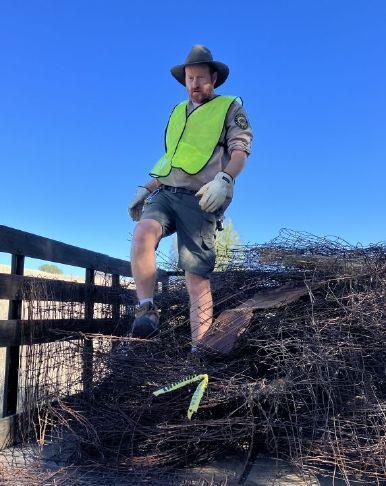 Joint volunteer effort helps wildlife | Gold Country Media